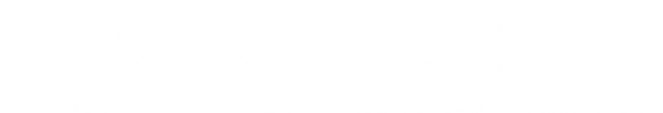 VYBZ STORE